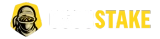 csgostake-logo